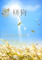 WEEDING AT DAWN：A LESBIAN COUNTRY LIFE     PDF电子版封面  1560232064  HAWK MADRONE 