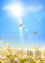 COLLISION COURSE PDF电子版封面 0373019297 JANE DONNELLY