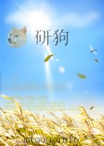 WORKING THROUGH CONFLICT FIFTH EDIDION PDF电子版封面 0205414907