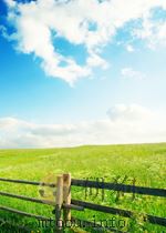 Rethinking Pension Reform（ PDF版）