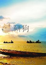 THE DECLINE OF THE WEST     PDF电子版封面     