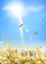 Studies in Biochemistry PDF电子版封面