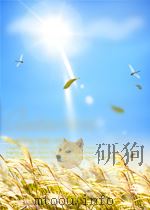 THE PRINCIPLES OF FOREST YIELD STUDY     PDF电子版封面     