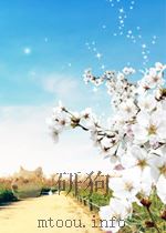 Investigations Chlorophyll Methods and Results PDF电子版封面