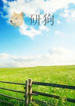 FLEXIBLE MANUFACTURING FOR SMALL TO MEDIUM ENTERPRISES：A EUROPEAN CONFERENCE   1988  PDF电子版封面  1854230158  K.MCGUIGAN 