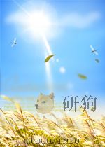 THE ENERGY METABOLISM OF RUMINANTS 1962 PDF电子版封面