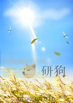 A Search for meaning:essays of a chinese american 1984 PDF电子版封面 Albert H.Yee