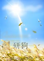 ASEAN-CHINA ECONOMIC RELATIONS DEVELOPMENTS IN ASEAN AND CHINA 1989 PDF电子版封面 9813035315