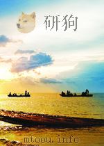 NUCLEAR AND CHEMICAL DATING TECHNIQUES：INTERPRETING THE ENVIRONMENTAL RECORD   1982  PDF电子版封面  0841206694  LLOYD A.CURRIE 