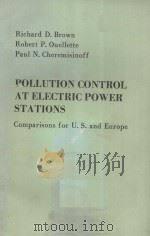POLLUTION CONTROL AT ELECTRIC POWER STATIONS COMPARISONS FOR U.S. AND EUROPE PDF电子版封面 0250406187 RICHARD D.BROWN ROBERT P.OUEL