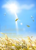 HYDROLOGICAL FORECASTING PDF电子版封面 9027722595 JAROMIR NEMEC
