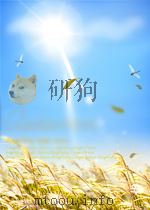 A POLICY ON GEOMETRIC DESIGN OF RURAL HIGHWARYS 1965     PDF电子版封面     