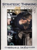 STRATEGIC THINKING AN EXECUTIVE PERSPECTIVE PDF电子版封面 CORNELIS A.DE KLUYVER