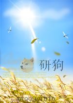 WORKING WITH ANALOGICAL SEMANTICS:DISAMBIGUATION TECHNIQUES IN DLT     PDF电子版封面  9067654299  VICTOR SADLER 