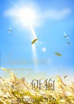 CONTEXTS FOR LEARNING TO WRITE:STUDIES OF SECONDARY SCHOOL INSTRUCTION     PDF电子版封面  0893912255  ARTHUR N.APPLEBEE JUDITH A.LAN 