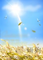 LOVE PDF电子版封面