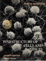 FINE STRUCTURE OF CELLS AND TISSUES FOURTH EDITION PDF电子版封面 0812104307 KEITH R.PORTER AND MARY A.BONN