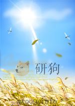 RETHINKING WHAT WORKS WITH OFFENDERS PROBATION,SOCIAL CONTEXT AND DESISTANCE FROM CRIME PDF电子版封面 1843921022