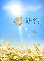 INTERNATIONAL CODE ASSESSMENT AND APPLICATIONS PROGRAM NUREG-1270 VOL.1 PDF电子版封面