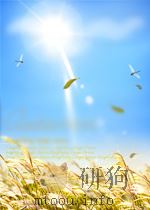 NUCLEAR REGULATORY LEGISLATION NUREG-0980 VOL.1 NO.1 PDF电子版封面