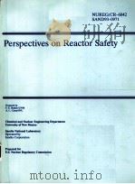 PERSPECTIVES ON REACTOR SAFETY NUREG/CR-6042 SAND93-0971 PDF电子版封面