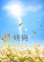 HAPPINESS A NOVEL（1950 PDF版）