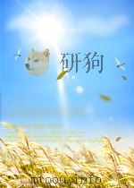 TIEL OKAZIS AU MISTERO MINORA 1958 PDF电子版封面