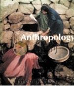 ANTHROPOLOGY PDF电子版封面 0030114764 william a.haviland
