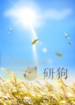 VEGETATIONAL COVER IN MONITORING AND STABILIZATION OF SHALLOW LAND BURIAL SITES NUREG/CR-1358 UCLA 1 PDF电子版封面