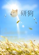 DEUTSCHE ALTERTUMSKUNDE ERSTE HALFTE   1913  PDF电子版封面     