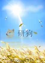 DAVID BALDACCI：WISH YOU WELL     PDF电子版封面     