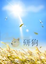RUSKIN AND SOCIAL REFORM     PDF电子版封面  1845113497  GILL G.COCKRAM 