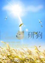 D.H.LAWRENCE NEW STUDIES     PDF电子版封面  0333309227  CHRISTOPHER HEYWOOD 