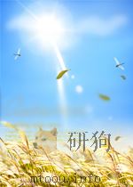 INTRODUCING PHILOSOPHY:A TEXT WITH INTEGRATED READINGS SEVENTH EDITION     PDF电子版封面  0195155106  ROBERT C.SOLOMON 