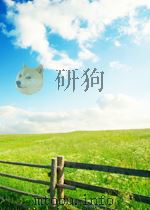 THE MALAGASY AND THE EUROPEANS     PDF电子版封面  0582645441  PHARES M.MUTIBWA 