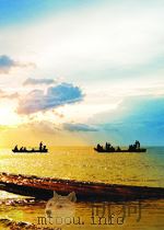 RELIGION:THE SOCIAL CONTEXT THIRD EDITION     PDF电子版封面  0534169686  MEREDITH B.MCGUIRE 