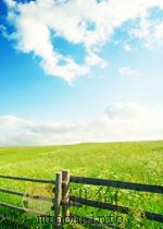 CRIME FROM THE MIND OF A WOMAN     PDF电子版封面  0340819707   