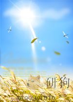 LA REVANCHE DU MONDE CHINOIS? SECOND EDITION     PDF电子版封面  271783866X   