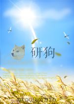 THE SOLOMON COMPLEX READING WISDOM IN OLD ENGLISH POETRY PDF电子版封面 0802026184 ELAINE TUTTLE HANSEN