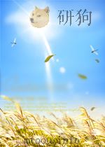 DANIELLE STEEL NO GREATER LOVE PDF电子版封面 0440213282