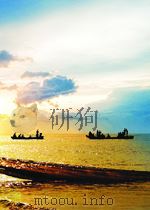 DICTIONNAIRE DE DIDACTIQUE DES LANGUES（ PDF版）