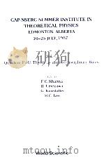 CAP-NSERC SUMMER INSTITUTE IN THEORETICAL PHYSICS EDMONTON，ALBERTA 10-25 JULY，1987   VOL.I  QUANTUM（ PDF版）