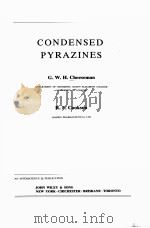 CONDENSED PYRZINES（ PDF版）