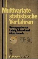 MULTIVARIATE STATISTISCHE VERFAHREN 1984 PDF电子版封面 3110085097