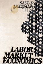 LABOR MARKET ECONOMICS     PDF电子版封面  013517855X  SAUL D.HOFFMAN 