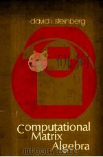 COMPUTATIONAL MATRIX ALGEBRA PDF电子版封面 0070611106 DAVID I.STEINBERG