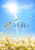 ATLAS OF STRABISMUS SURGERY     PDF电子版封面  0801621380  EUGENE M.HELVESTON著 