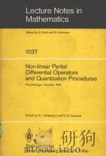 NON-LINEAR PARTIAL DIFFERENTIAL OPERATORS AND QUANTIZATION PROCEDURES 1982 PDF电子版封面 3540127100
