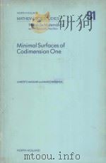 MINIMAL SURFACES OF CODIMENSION ONE 1984 PDF电子版封面 0444868739