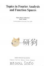 TOPICS IN FOURIER ANALYSIS AND FUNCTION SPACES PDF电子版封面 0471908959